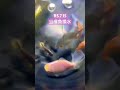 【金魚】ジャンボ獅子頭 当歳魚