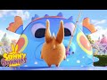 SUNNY BUNNIES - La cattura più grande | Cartoons for Children | WildBrain