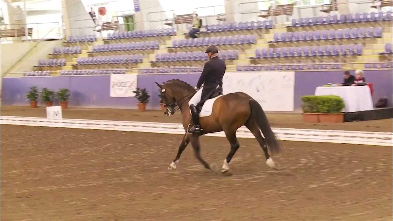 Roger Fitzhardinge and Weltsohn at the NSW State Dressage Championships