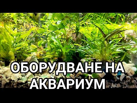 АКВАРИУМ ВКЪЩИ! КАКВО Е НЕОБХОДИМО ЗА ДА ИМАМЕ ХУБАВ И ДОБРЕ ОБОРУДВАН АКВАРИУМ ЗА РЕЛАКСИРАНЕ!