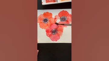 How to Paint Loose Watercolor Poppies
