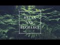 Relax and Recharge | Brain Calming Music | Spa Study Music