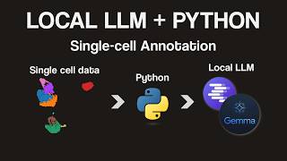 Can a Local LLM Annotate Single-Cell Data? Using Python, LM Studio, and REST APIs