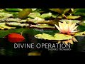 Divine Operation by Thomas Troward - CONNECT WITH LIMITLESS POTENTIAL 💫