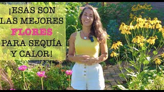 PLANTAS & FLORES para jardines de SECANO by Mi Jardin en el Desierto 65,456 views 2 months ago 19 minutes