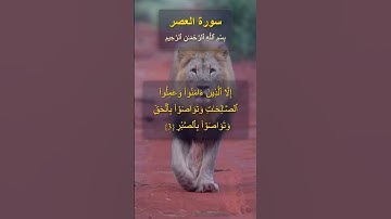 Surah Al Asr سورة العصر Mishary Rashid Al Afasy #quran #المصحف #islamiccontent