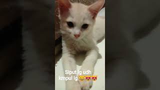 Bahagia lega nyaman rasanya kl yg disayang yg dirindu tlh tiba 😻