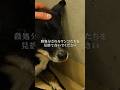 殺処分されるワンコたちを、見捨てないでください。#犬 #保護犬
