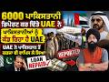 😱 6000 ਪਾਕਿਸਤਾਨੀ ਡਿਪੋਰਟ ਕਰ ਦਿੱਤੇ!✈️ UAE ਨੇ ਪਾਕਿਸਤਾਨੀਆਂ ਨੂੰ ਕੱਢ ਰਿਹਾ ਹੈ UAE⚡️