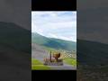 Whisper Of Zagros Soil Caucasus Newmusic 
