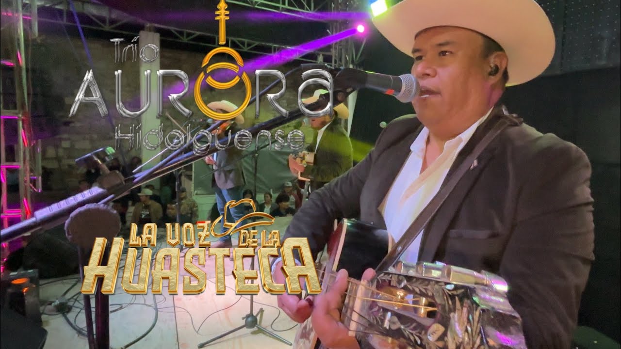 Temas Románticos (brindis) - Trio Aurora Hidalguense En Vivo