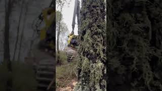 John Deere 1270G Harvester Cutting Forest #Johndeere #Harvester #Viral #Farming #Tree #Wood #Love