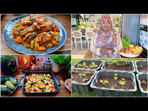 وصفة كوسة باللحم لذيذة كيف نزرع الخضار في الصناديق zucchini + lamb growing vegetables in containers