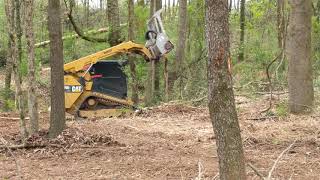 mulching head on cat 299D