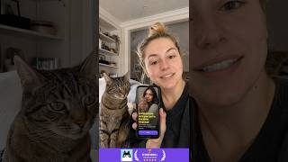 📱Testing the cat translator app. Link in BIO #cat #translator #talk #cattranslator #meow