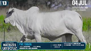 Lote 13 Fvc 13026