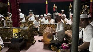 Tebar Pesona Bermain Kendang Akibat Vibe Oleg Tamulilingan  Nyoman Monot  Gamelan Cam