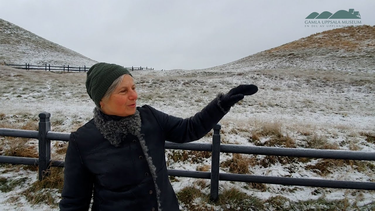 Härskarsätet i Gamla Uppsala