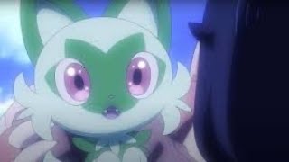 Pokémon Tribute: Echo
