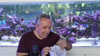 The Fragging Kit Every Reef Keeper Needs to Try