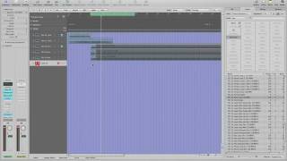 Producerloops Trance Elevation Vol-1 (2/2)