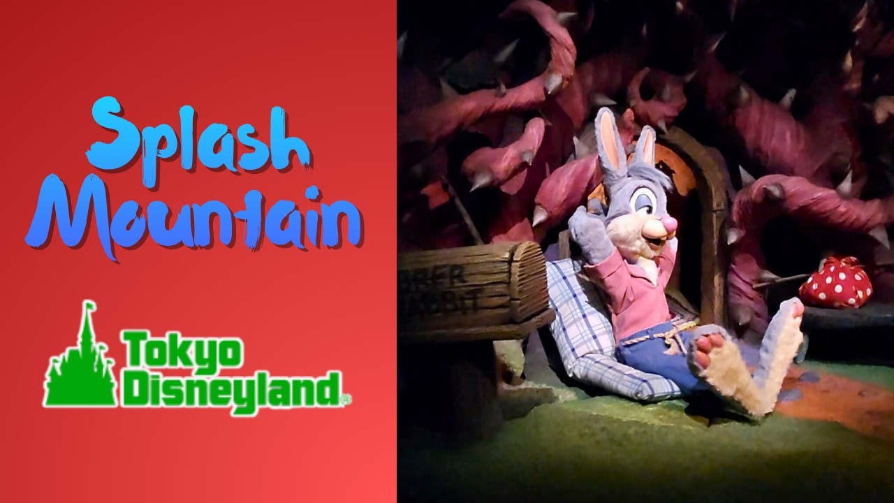 Splash Mountain – Meta Glasses POV 💦 | Tokyo Disneyland NOSTALGIC Log Flume Adventure