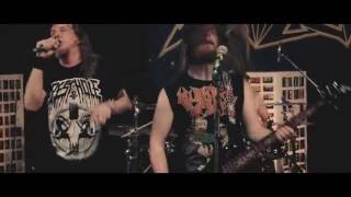 Antipeewee - Feeding the Breeding Mother @8TrackSessions