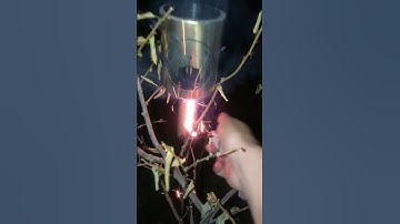 Strobe Rocket (gold top) iykyk