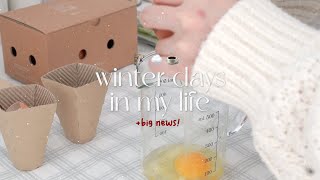 sub)vlog. Big news. living alone life in Seoul / Winter routine of eating&working well / suzlnne