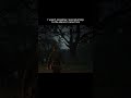 I wasn’t escaping | Arthur Morgan | #rdr2 #peace #aesthetic #nature #calm ##woods #alone #gameplay