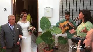 Video thumbnail of "Rocio Silva le canta a la Novia "CUANDO SE CASA UNA HERMANA" | VEOFLAMENCO"