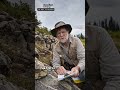 Could NovaRed Mining (NRED) Be Positioned for Future Growth?