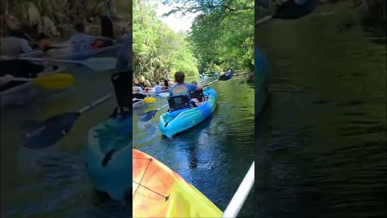Kayakers Spot Turtle on Scenic River Adventure #shorts