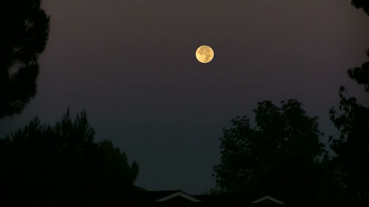 Full moon setting at dawn, Aug  19, 2024