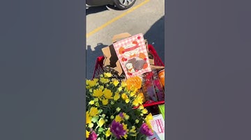 Fall Vibes at Trader Joes: Pumpkin Season Must-Haves #fall