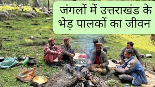 Life of Gaddi Shepherds in Uttarakhand | उत्तराखंड के जंगलों में भेड़पालकों का जीवन| The Young Monk