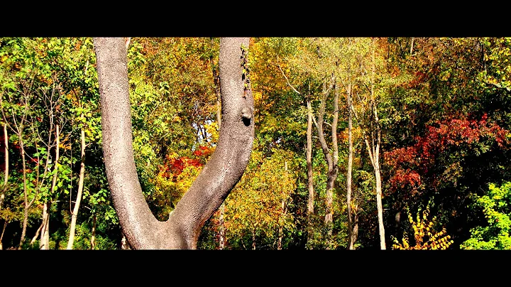Upton Hill Regional Park