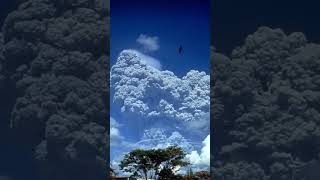 Mount Pinatubo 1991 Eruption shorts mountpinatubo
