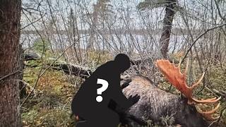 Moose Hunt on Season 13 ALONE - Contestants Big Game Hunting Breakdown