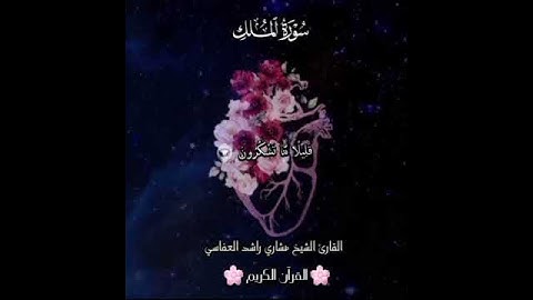🌸وَجَعَلَ لَكُمُ السَّمْعَ وَالْأَبْصَارَ وَالْأَفْئِدَةَ ۖ قَلِيلًا مَّا تَشْكُرُونَ🌸 سورة الملك 🎧💙