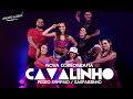 Cavalinho Pedro Sampaio E Gasparzinho Groove Dance mp3