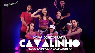 Cavalinho - Pedro Sampaio e Gasparzinho / Groove Dance