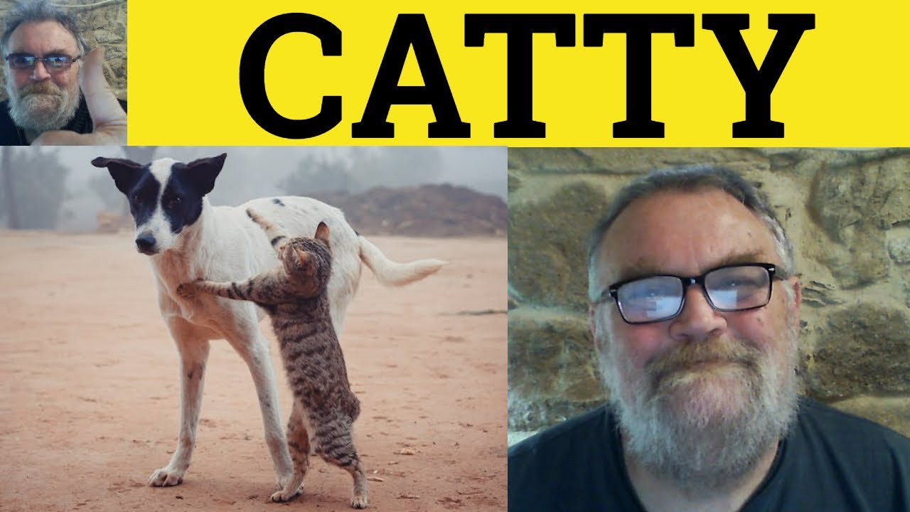Catty Meaning Catty Defined Catty Examples Interesting Phrases Catty Meaning Catty Defined Catty Examples Interesting Phrases