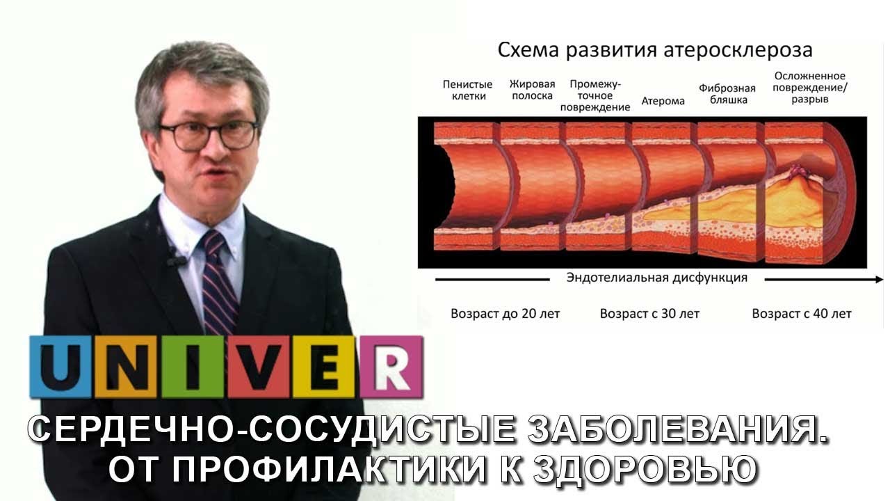 Школа здоровья. Сердечно-сосудистые заболевания. От профилактики к здоровью