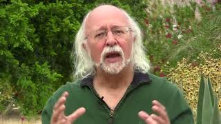 Why Does Steven Forrest Use the Term Evolutionary Astrology