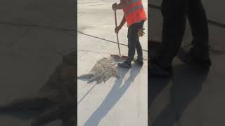 Beton Silimi Zemin Düzeltme 0543 310 24 24