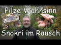 Pilze Wahnsinn - Snokri im Pilze Rausch - Pilze im Oktober 2020   Große Tour