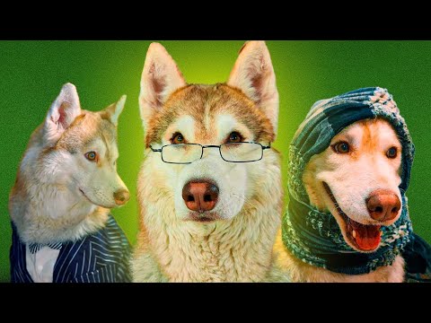 ЕСЛИ БЫ ПЕСИКИ