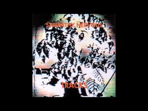 Sympathy Nervous - Diamond in Memory
