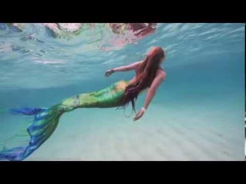 Swimming Mermaid with Whale Sharks